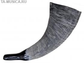 Рог буйвола, охотничий, 40 см купить