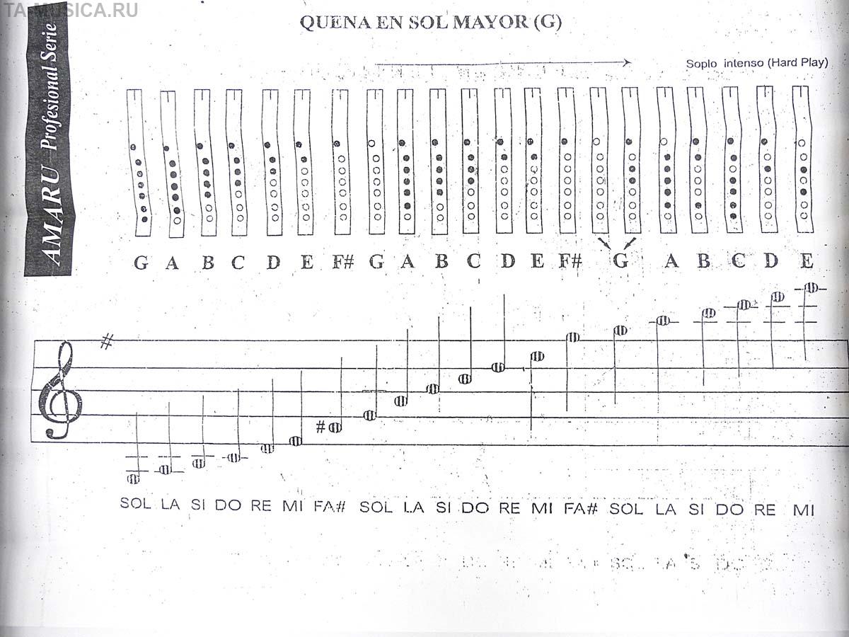 Как играть на дудке. Пимак соль аппликатура. Аппликатура свирели 7 отверстий. Аппликатура для флейты пимак. Аппликатура свирели 6 отверстий в строе с.