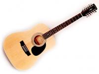 Акустическая гитара 12-струнная с чехлом, W81-12-OP, Parkwood купить