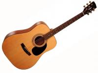Гитара акустическая с чехлом W81-OP, Parkwood купить
